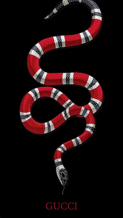 gucci sbake|why does gucci use snake.